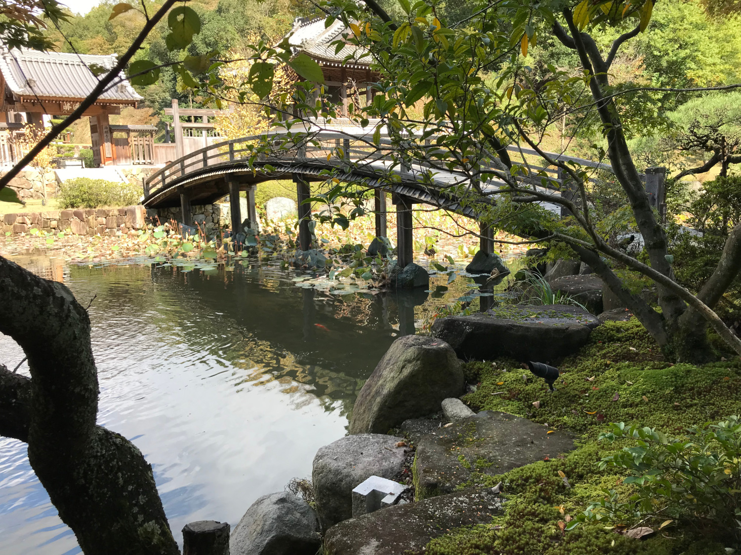 神勝寺・禅と庭のミュージアム